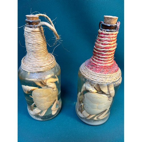 3 - KITCHENALIA Unusual specimen crabs, preserved & bottled