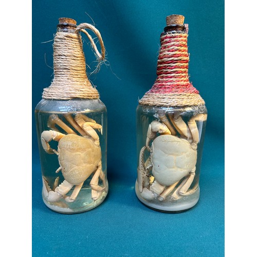 3 - KITCHENALIA Unusual specimen crabs, preserved & bottled