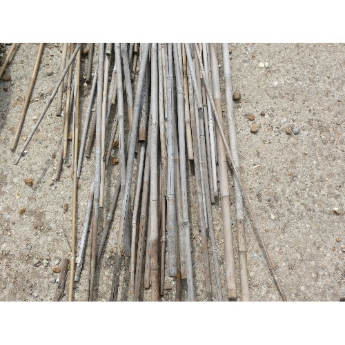 503 - A SELECTION OF BAMBOO GARDEN CANES