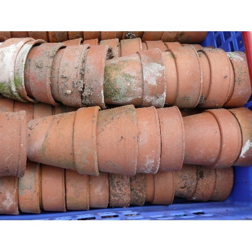 504 - A LARGE QUANTITY OF MINIATURE TERRACOTTA POTS