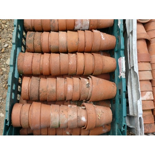 505 - A LARGE QUANTITY OF MINIATURE TERRACOTTA POTS