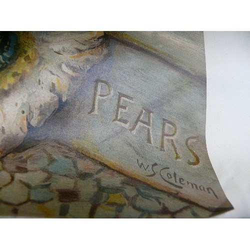 396 - A VINTAGE PEARS PRINT SIGNED BY W.S. COLEMAN