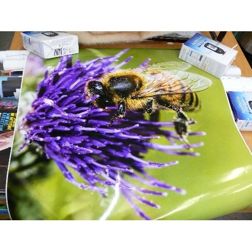 403 - TWO SPITFIRE PRINTS, A PRINT OF A BEE AND NEW PHOTO ALBUMS