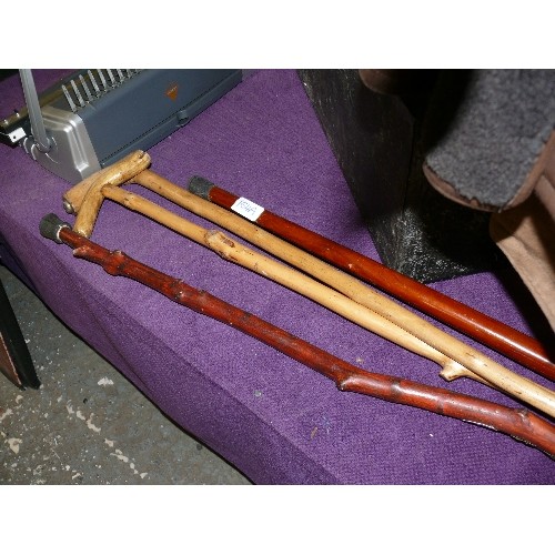 164A - A SELECTION OF WALKING STICKS