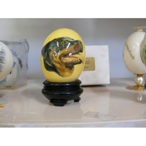 93 - A LARGE COLLECTION OF DECORATIVE HAND PAINTED EGGS