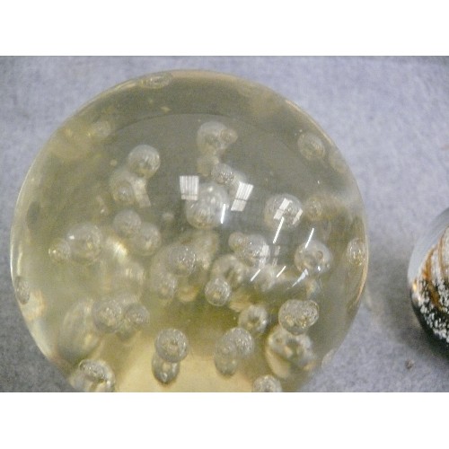 309 - 2 DECORATIVE GLASS PAPERWEIGHTS