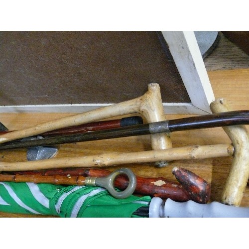 379 - SELECTION OF WALKING STICKS, A SHOE HORN, AN UMBRELLA AND A SHOOTING STICK