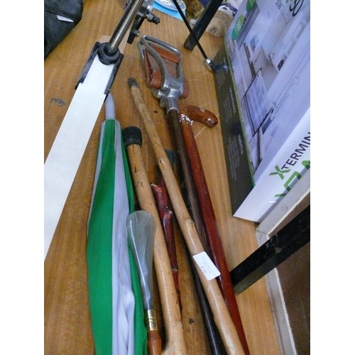 379 - SELECTION OF WALKING STICKS, A SHOE HORN, AN UMBRELLA AND A SHOOTING STICK