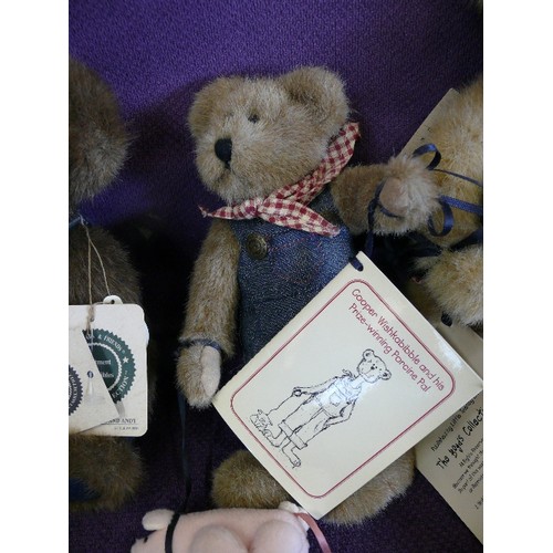 138 - 3 COLLECTABLE BOYDS BEARS, TO INCLUDE SERENDIPITY WISHKABIBBLE AND THE GIANT TOMATO, COOPER WISHKABI... 