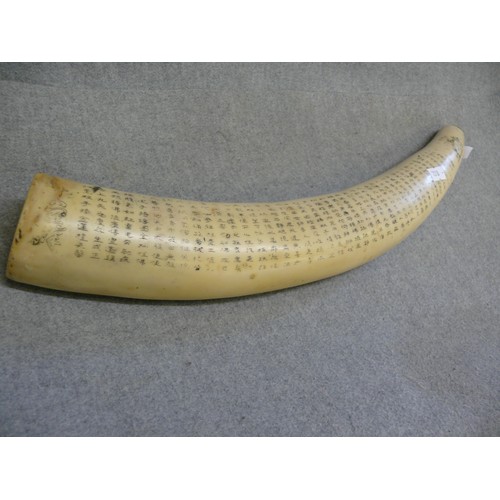 2 - A LARGE ORIENTAL IVORINE HORN WITH BEAUTIFUL SCRIMSHAW DECORATION