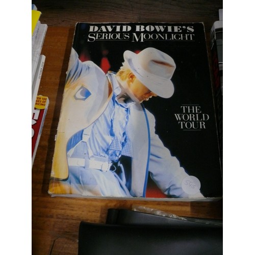 441 - DAVID BOWIE  SERIOUS MOONLIGHT WORLD TOUR BOOK