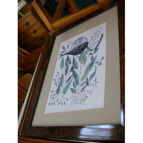 447 - SELECTION OF FRAMED PRINTS