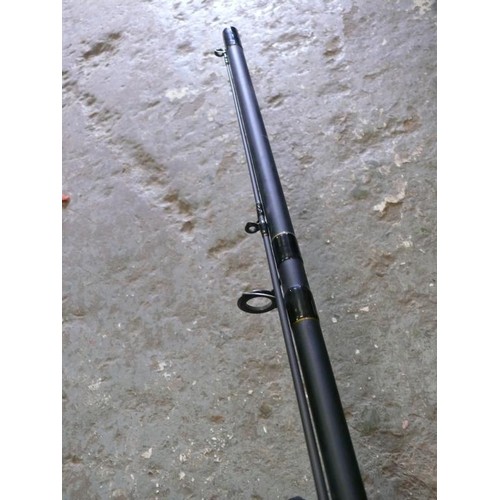 475 - 2 X FISHING RODS PREMIER CARP ROD 3.3M 2 SECTION AND A CRUISADER 10FT MATCH ROD, MODEL 2395302