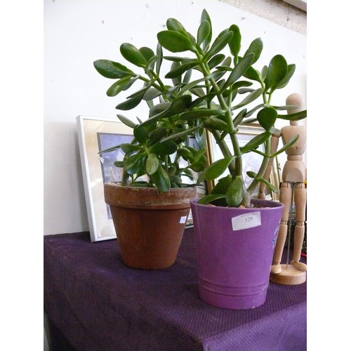 129 - A PAIR OF WAX JADE HOUSE PLANTS