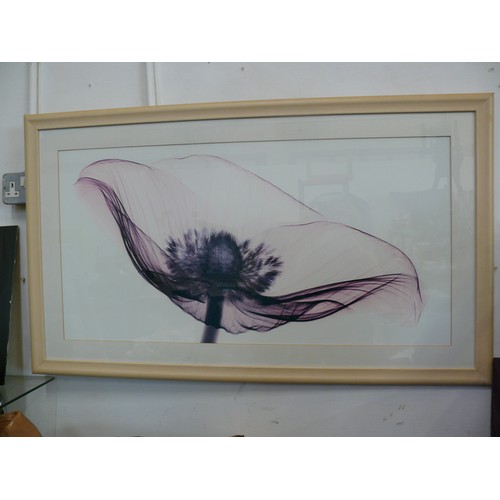 133A - A LARGE FRAMED AND GLAZED ART PRINT OF A POPPY