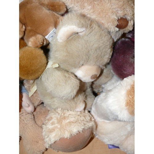 205 - A NICE COLLECTION OF TEDDY BEARS TO INCLUDE RUSS