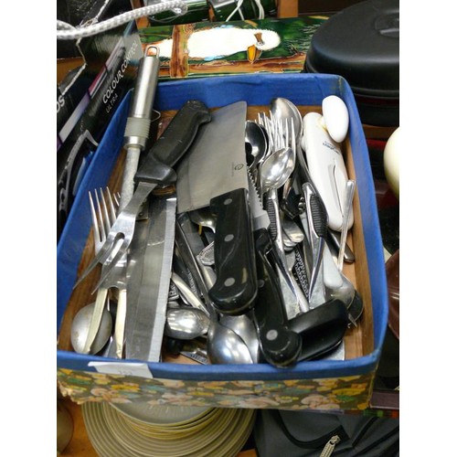 353 - A BOX OF VARIOUS CUTLERY AND KITCHEN KNIVES