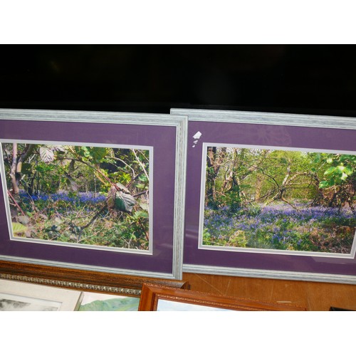 372 - 2 X FRAMED PAINTINGS OF LANDSCAPES. 2 X FRAMED WOODLAND PHOTOGRAPHS, AND EMPTY FRAMES.