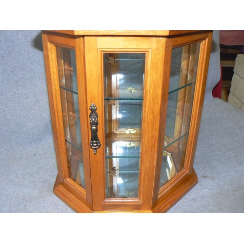 130 - SMALL WOOD AND GLASS 2 SHELF DISPLAY CABINET