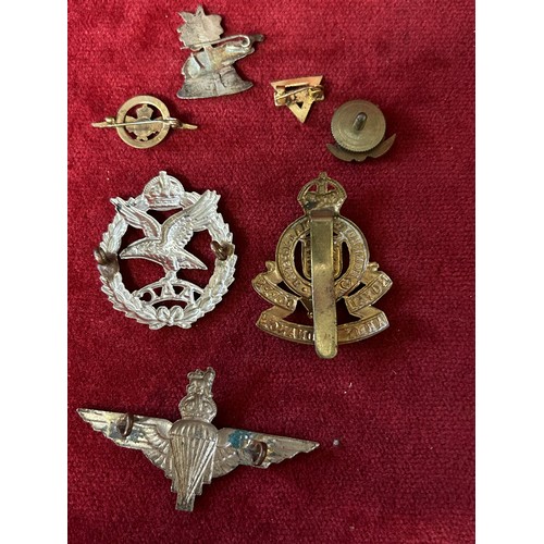 49 - A COLLECTION OF MILITARY CAP BADGES WWII PARACHUTE AIRBOURN REG 883. U.S.A ARMY QUARTERMASTER LAPEL ... 