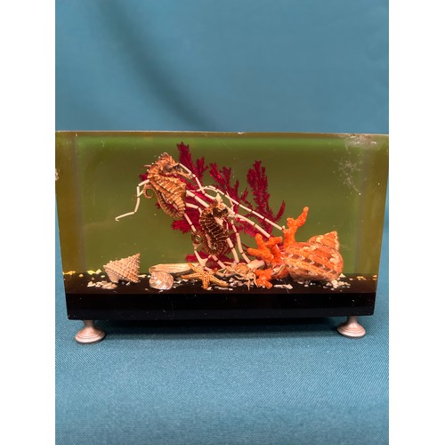 11 - 1960's Lucite sealife diorama with sea horses, seaweed & shells. 9cm x 14cm