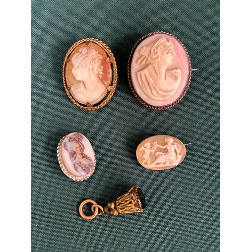 55 - 3 Cameo brooches including a small 19th Century example, a porcelain buckle and an antique seal fob ... 