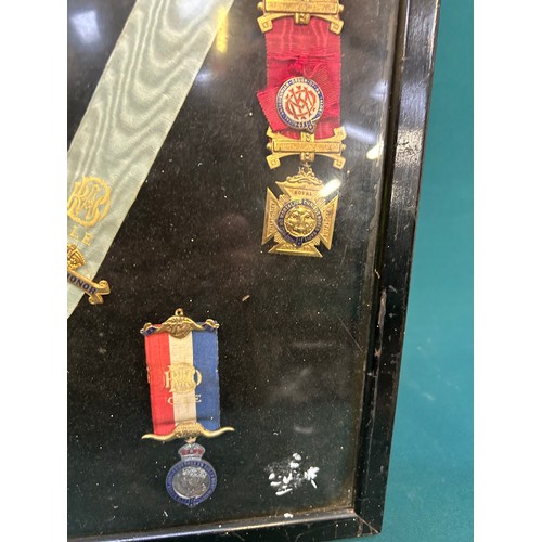 121 - A framed collection of 1930's & 40's  Royal Antediluvian Order of Buffaloes medals and jewels, with ... 