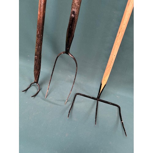 364 - Edwardian pitch fork, bale hook and hay rake