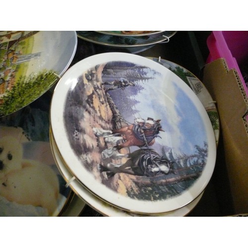 495 - LARGE COLLECTION OV VARIOUS DECORATIVE COLLECTORS PLATES TO INCLUDE WEDGWOOD, ROYAL DOULTON, CATS, D... 