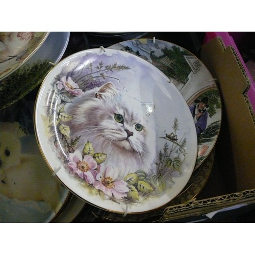 495 - LARGE COLLECTION OV VARIOUS DECORATIVE COLLECTORS PLATES TO INCLUDE WEDGWOOD, ROYAL DOULTON, CATS, D... 