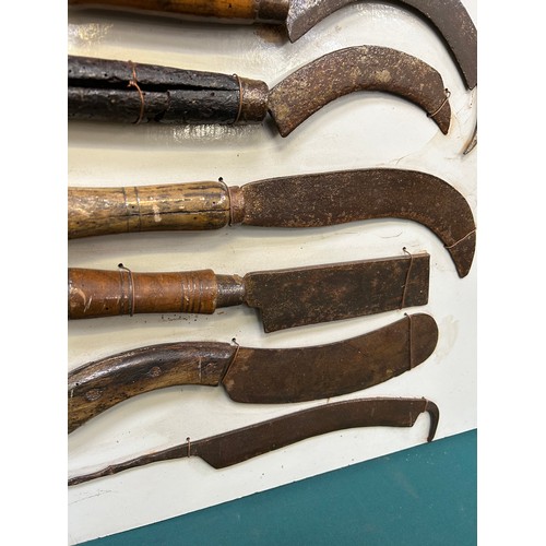 381 - Display board with collection of vintage hand tools including sickles, beet knives etc