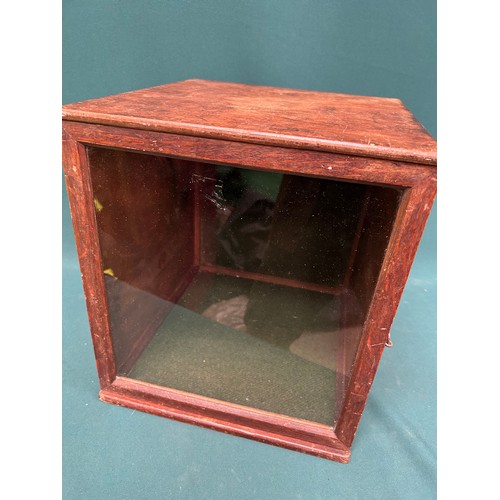 330 - Early 20th Century Collector's Table Top display cabinet - 30cm x 34cm x 32cm