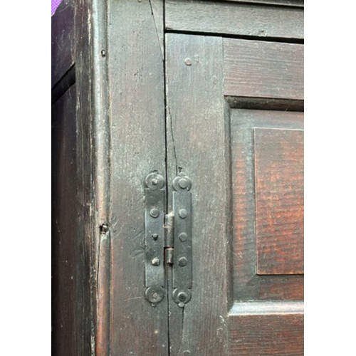 521 - A very large antique oak Housekeepers cupboard from a Norfolk country house. The doors each with fou... 