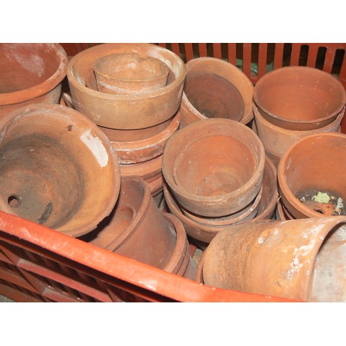 537 - LARGE CRATE OF TERRACOTTA PLANT POTS