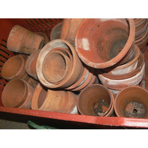 537 - LARGE CRATE OF TERRACOTTA PLANT POTS