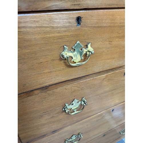 509 - Victorian pale walnut two over three chest of drawers with brass handles