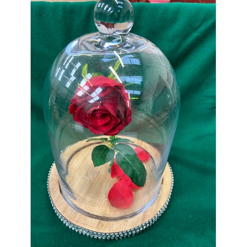 289A - Large glass dome with silk red forever rose as depicted in the film/musical Beauty and the Beast