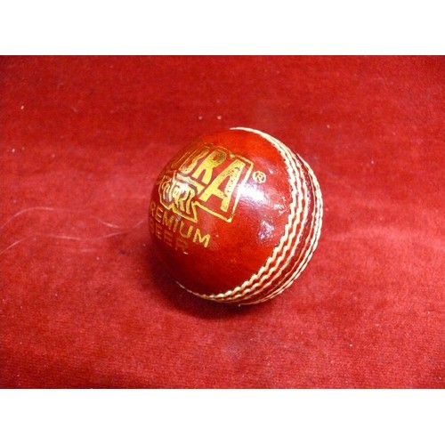 71 - COBRA BEER COMMEMORATIVE CRICKET BALL