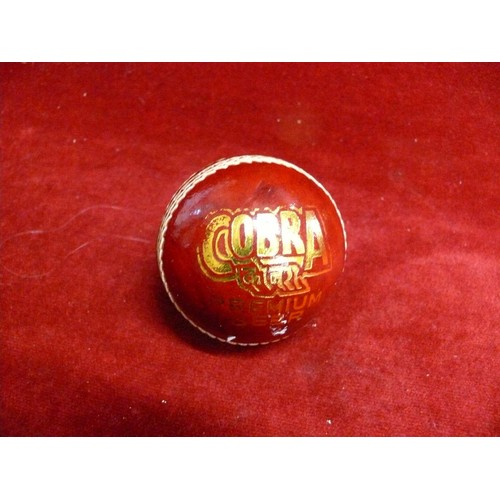 71 - COBRA BEER COMMEMORATIVE CRICKET BALL