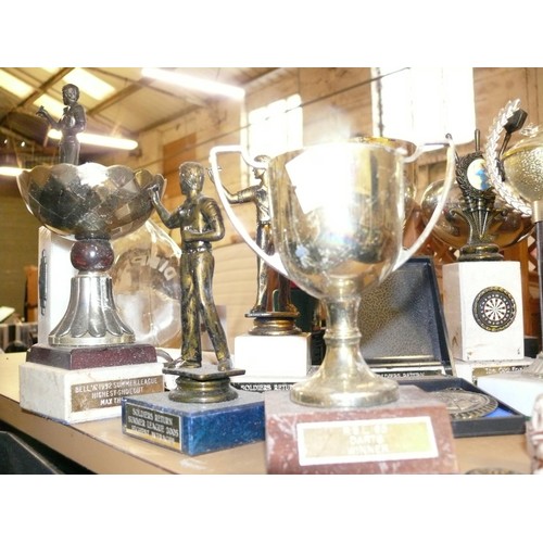 246 - SELECTION OF VARIOUS TROPHIES