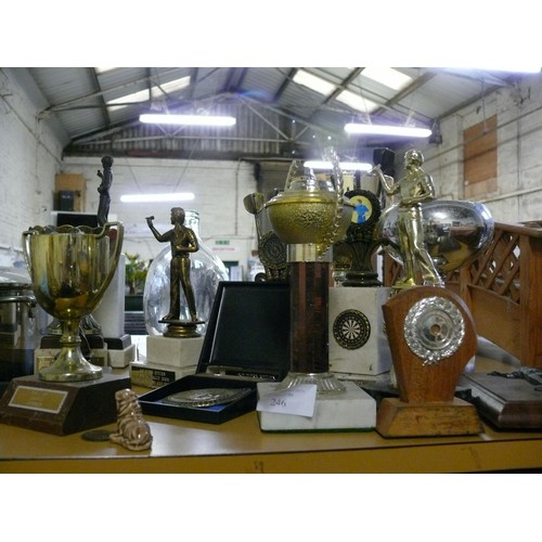 246 - SELECTION OF VARIOUS TROPHIES