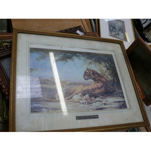 366 - LOVELY COLLECTION OF SERENGETI/WILD ANIMALS FRAMED PRINTS, INC STEPHEN GAYFORD LIMITED EDITION 'EVER... 