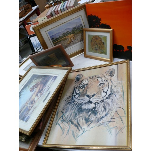 366 - LOVELY COLLECTION OF SERENGETI/WILD ANIMALS FRAMED PRINTS, INC STEPHEN GAYFORD LIMITED EDITION 'EVER... 