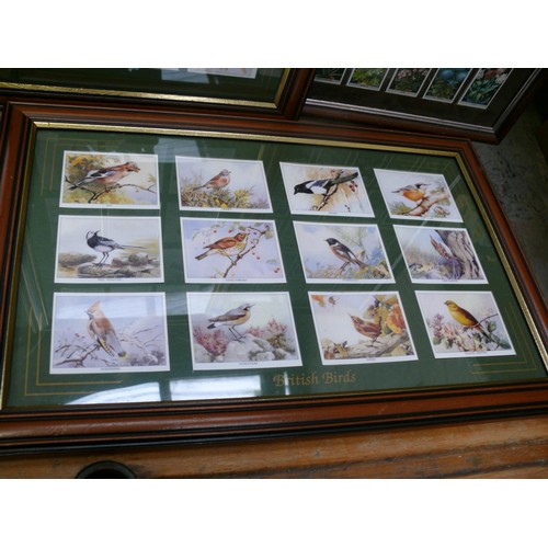 367 - 3 X CIGARETTE AND TEA CARD COLECTIONS IN FRAMES. BIRDS OF BRITAIN & FLOWER CULTURE IN POTS.