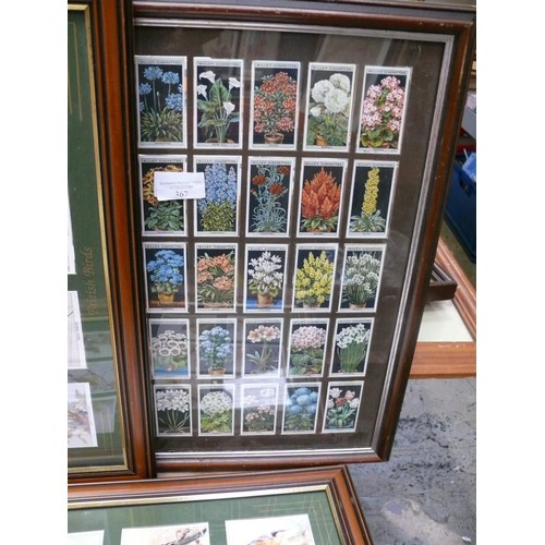 367 - 3 X CIGARETTE AND TEA CARD COLECTIONS IN FRAMES. BIRDS OF BRITAIN & FLOWER CULTURE IN POTS.