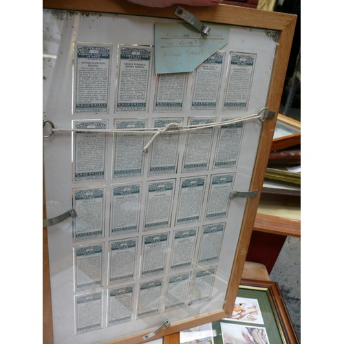 367 - 3 X CIGARETTE AND TEA CARD COLECTIONS IN FRAMES. BIRDS OF BRITAIN & FLOWER CULTURE IN POTS.