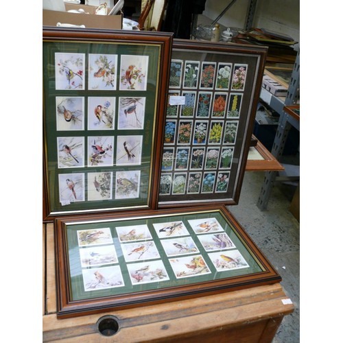 367 - 3 X CIGARETTE AND TEA CARD COLECTIONS IN FRAMES. BIRDS OF BRITAIN & FLOWER CULTURE IN POTS.