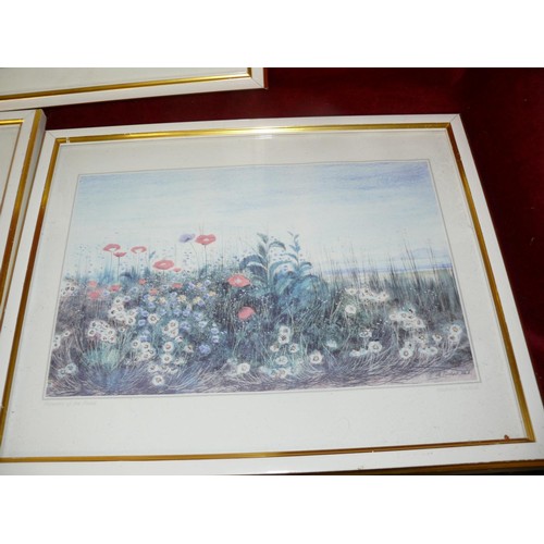 204 - COLLECTION OF 5 FRAMED AND GLAZED PRINTS