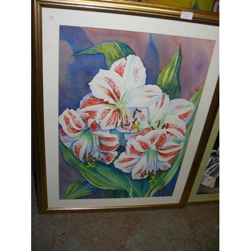 290 - FRAMED AND GLAZED WATERCOLOUR OF PINK AND WHITE AMARYLLIS SIGNED GILLIAN WOOLEY SWIFT