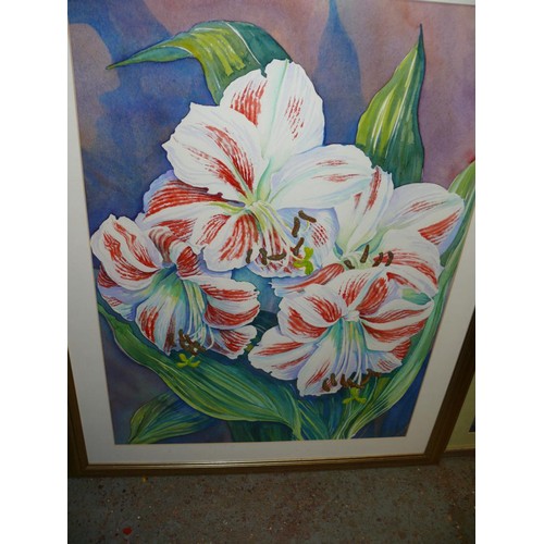 290 - FRAMED AND GLAZED WATERCOLOUR OF PINK AND WHITE AMARYLLIS SIGNED GILLIAN WOOLEY SWIFT